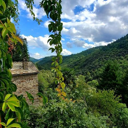 Gîte de Combelebouze en Cévennes - Cosy et Confort - 3 étoiles Saint-Privat-de-Vallongue Exterior foto