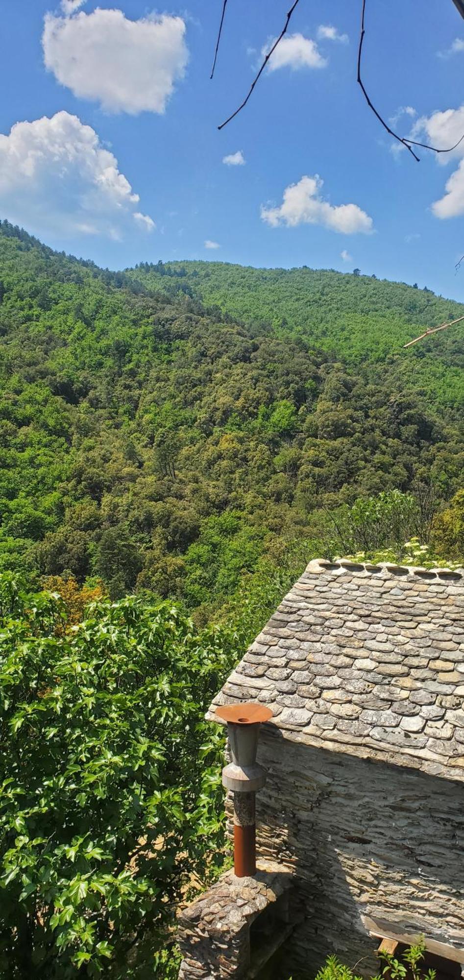 Gîte de Combelebouze en Cévennes - Cosy et Confort - 3 étoiles Saint-Privat-de-Vallongue Exterior foto